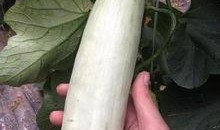 上过吃瓜的网红,揭秘娱乐圈幕后故事